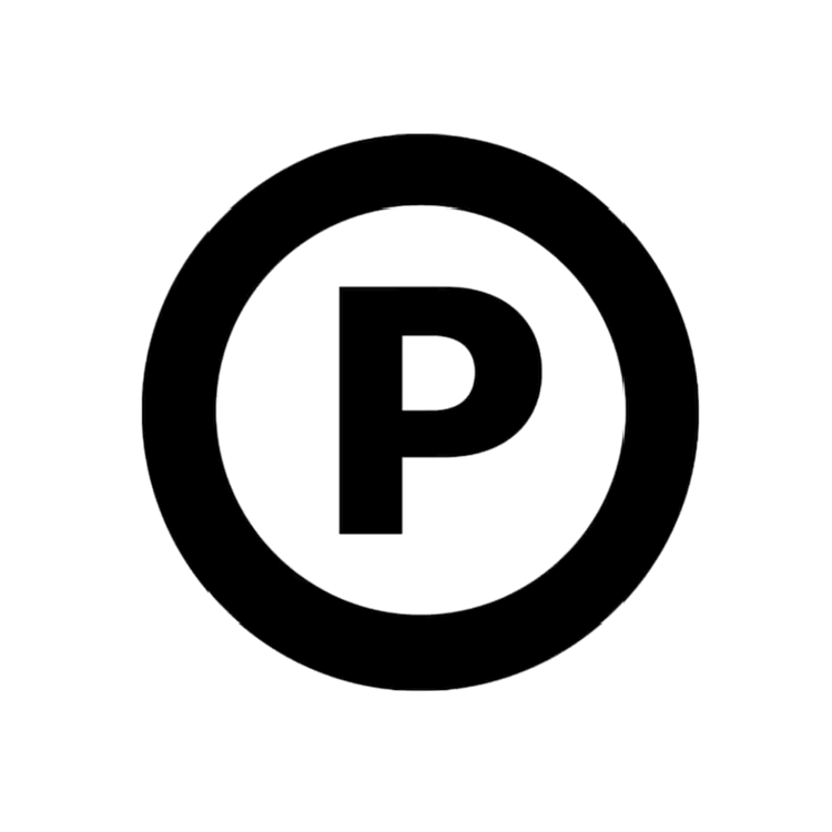Logo P Logo Motion Panca Putra